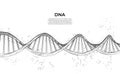 DNA. Abstract 3d polygonal wireframe DNA molecule. Science, genetic biotechnology, chemistry biology, gene cell concept vector ill