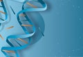 DNA. Abstract 3d polygonal wireframe DNA molecule helix spiral on blue background Royalty Free Stock Photo