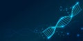 DNA. Abstract 3d polygonal wireframe DNA molecule helix spiral on blue. Medical science, genetic biotechnology, chemistry biology Royalty Free Stock Photo