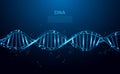 DNA. Abstract 3d polygonal wireframe DNA molecule. Medical science, genetic biotechnology, chemistry biology, gene cell concept Royalty Free Stock Photo