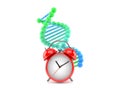 DNA with alarm clock Royalty Free Stock Photo