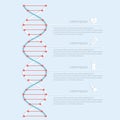 DNA banner, science infographics.