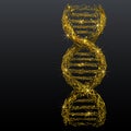 DNA link low poly wireframe gold metal Royalty Free Stock Photo