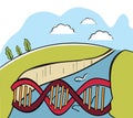 Dna bridge