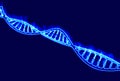 DNA, burning DNA helix, deoxyribonucleic acid is a nucleic acid that contains genetic information for the development and proper f