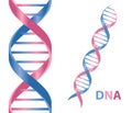 DNA Royalty Free Stock Photo