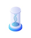 Dna chain in cylindrical flask isometric vector. Interlacing blue gene strands hermetically sealed in special glass Royalty Free Stock Photo