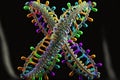 DNA and chromosome structure