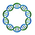 DNA circle Strand Loop