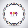 Dna circle structure chromosome design