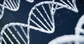 DNA Close up on Blue background., 3D rendering Royalty Free Stock Photo