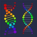 DNA Deoxyribonucleic Acid Chain Nucleotides Poster