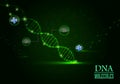 DNA concept on green light background Royalty Free Stock Photo