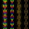 DNA - deoxyribonucleic acid