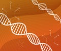 DNA Deoxyribonucleic acid abstract Structure on Orange Background Royalty Free Stock Photo