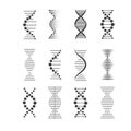 DNA(Deoxyribonucleic acid) Helix on white Background