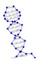 DNA Deoxyribonucleic acid Structure 3 Dimensionals