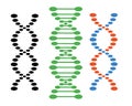 DNA different sets of spirals on a white background. Vector elements for your design.