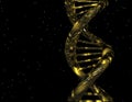 Dna Royalty Free Stock Photo