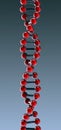 DNA Double Helix Royalty Free Stock Photo