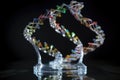dna double helix, with close-up view on the base pairs