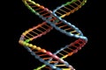 dna double helix, with complementary base pairs and bases visible Royalty Free Stock Photo