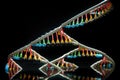 dna double helix, with complementary base pairs and bases visible Royalty Free Stock Photo