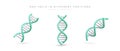 DNA double helix in different positions. Part of human genetic code, genome Royalty Free Stock Photo