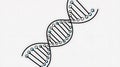 DNA Double Helix Genetics, Genes, Code, Biology, Science, Molecular Structure, Life, Inheritance, Royalty Free Stock Photo