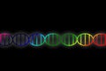 DNA double helix illustration