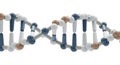 DNA double helix model with a sequence of spheres and cylinders representing Royalty Free Stock Photo
