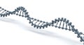 DNA Double Helix Molecular Structure Model Royalty Free Stock Photo