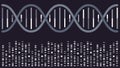 DNA double helix with sequencing bands vector illustration background