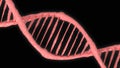 DNA double helix spiral molecule structure. Chromosome structure or single part of a gene Royalty Free Stock Photo