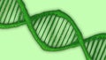 DNA double helix spiral molecule structure isolated on green background. 3D illustration. Chromosome structure, or single part of Royalty Free Stock Photo