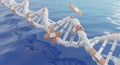 DNA double helix structure model Royalty Free Stock Photo
