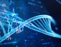 A DNA double helix structure superimposed on a background of binary code Royalty Free Stock Photo