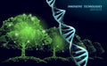 DNA evolution abstract tree. Ecology nature gene innovation technology business concept. GMO gene engineering plant Royalty Free Stock Photo