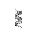 DNA genetic chain hand drawn outline doodle icon. Royalty Free Stock Photo