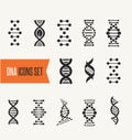 DNA, genetic elements and icons collection