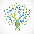 DNA, genetic icon - tree with green leaves