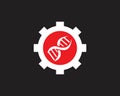 DNA genetic logo vector template Royalty Free Stock Photo