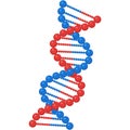 Dna genetic vector, helix gene molecule structure