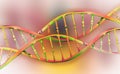 DNA genome research. DNA molecule structure