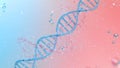 DNA genomes structure with division molecule, 3d rendering