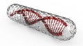 DNA in glass capsule Royalty Free Stock Photo