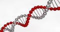 DNA Helix Royalty Free Stock Photo