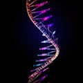 Dna helix on black. DNA molecular structure with sequencing data of human.