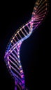 Dna helix on black. DNA molecular structure with sequencing data of human.