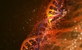 DNA helix 3D illustration. Mutations under microscope. Decoding genome Royalty Free Stock Photo